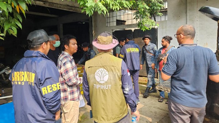 Penyelundupan Satwa Dilindungi Digagalkan, 11 Sanca Hijau Papua Disita di Bekasi